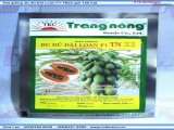 Hạt giống đu đủ Đài Loan F1-TN33 gói 20 hạt 